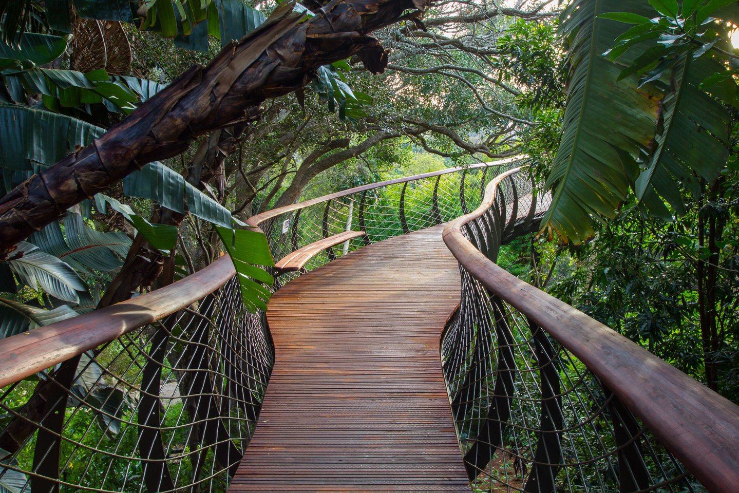 Tiltas PAR, Keiptaune.<br> A.Harrowerio/archdaily.com nuotr.