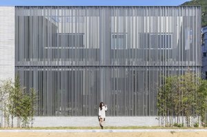 Namas su paslaptimi: šeimininkės gyvenimą pridengė išskirtinė užuolaida