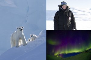 Aktorė padarė tai, ko nėra darę lietuviai: Arktyje įamžino baltuosius lokius su mažyliais