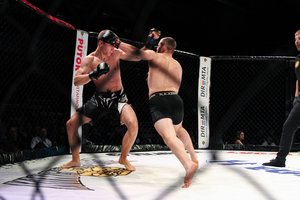 Kovodami narve lietuviai dėl pergalių turėjo kaip reikiant pasistengti