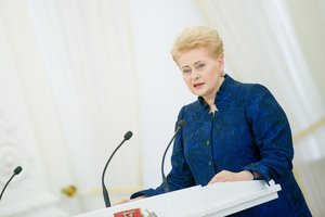 D. Grybauskaitė: parlamentinis tyrimas dėl verslo įtakos politikai – selektyvus