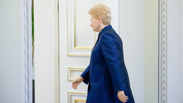 Dalia Grybauskaitė: tyrimas dėl verslo įtakos politikai – selektyvus