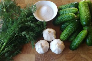 Pats greičiausias ir paprasčiausias būdas užraugti agurkėlius