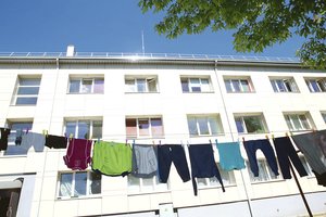 Kiemuose džiūstantys kauniečių apatiniai norvegų nenustebintų