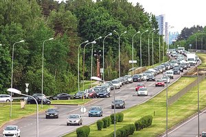 Neįtikėtina žalios rodyklės galia