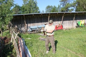 Sužeistą paukštį išgelbėjo geri žmonės