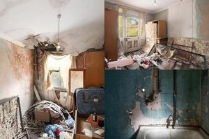 Protu nesuvokiama: už šias lūšnas pirkėjai kloja milijonus