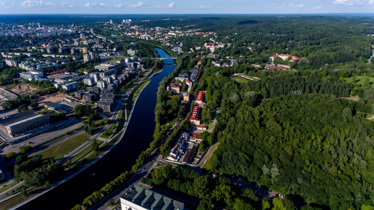  Vilnius laikomas viena žaliausių Europos sostinių, tačiau kažkam rūpi naikinti čia augančius medžius.<br> V.Ščiavinsko nuotr. 