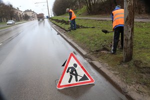 Bedarbių gretoms retinti siūlo tvarką, kurią taiko ir vokiečiai su švedais