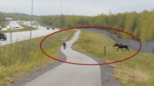 Pasivažinėjimas dviračiu tapo kova už gyvybę – akistata pašiurpino tūkstančius