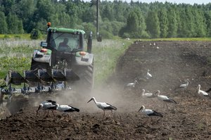 Ūkininkai atsidūrė ties kritiniu tašku – karšti orai varo į neviltį