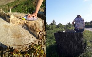 Išpjautus medžius jaunimas pagerbė ypatingu gestu