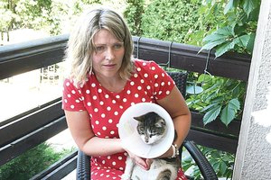 Veterinaro išvados dėl sužeistos katės marijampolietę pribloškė