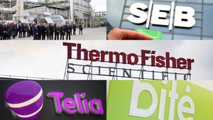 Svajonių darbdaviai: sužinokite, kokie šansai pas juos įsidarbinti 