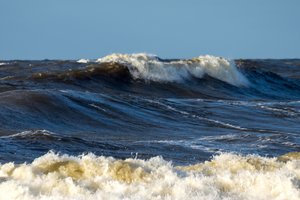 Gamtosaugininkai: Baltijos jūra – viena labiausiai užterštų pasaulyje
