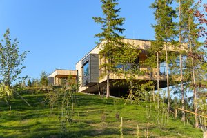 Architektams įdėją  pakišo miškas  – įvertinkite, ar pavyko šis sumanymas