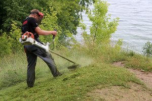Paskelbė, kurioje Lietuvos dalyje algos kilo, o kur – krito
