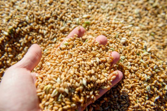 Lietuvos žemės ūkis žengia inovacijų link: virtuali platforma palengvins prekybos mainus