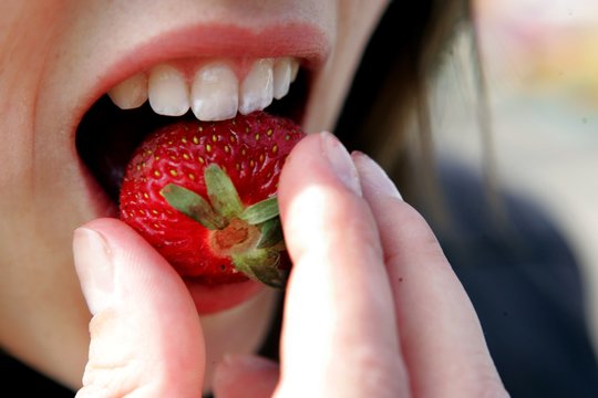 Lenkijoje prisirpo braškės, tik nėra kam jų skinti. Kas nori padirbėti?