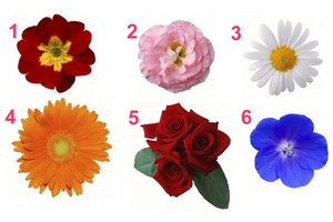 Išsirinkite gėlę – sužinokite savo moteriškumo paslaptį