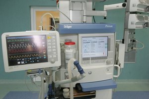 Miršta kas antras, bet eilės prie medikų kabinetų – tarsi devyngalvis slibinas