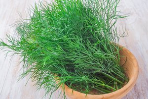 Paprasta gudrybė padės ilgiau išsaugoti šviežius krapus