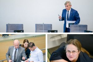 Mokesčių reforma skinasi kelią Seime: premjerą ragina pagalvoti, prisiminė emigraciją