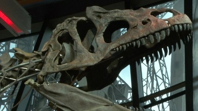 Neeilinis aukcionas Paryžiuje – žmonės klojo milijonus už dinozauro skeletą