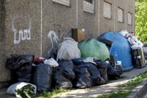 Vilniečiai neviltyje: šiukšlės toliau sprogdina konteinerius, prasidėjo gyvių invazija