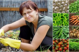 Atradau trąšas, kurios nieko nekainavo, o prikėlė net silpniausius augalus