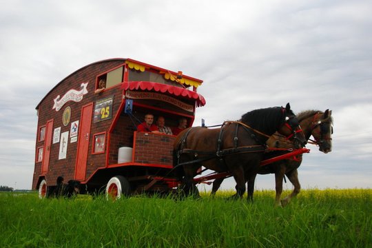 Iš trijų konkursų – sėkmingas vienas: paaiškėjo, kas vadovaus Lėlių vežimo teatrui