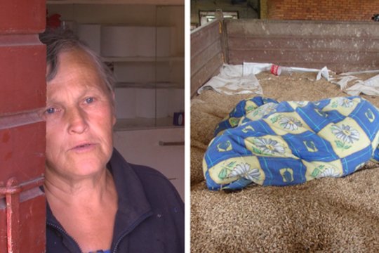 Kaimo gyventoja apie dingusias paaugles: „Kol buvo mažos, buvo doros“