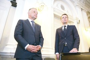 Bylos džiunglėse – ne vienas klaidus takas: aiškėja naujos detalės