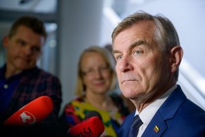 Seimo pirmininkas: įstatymų pataisas po NSGK tyrimo pavesta rengti Vyriausybei 