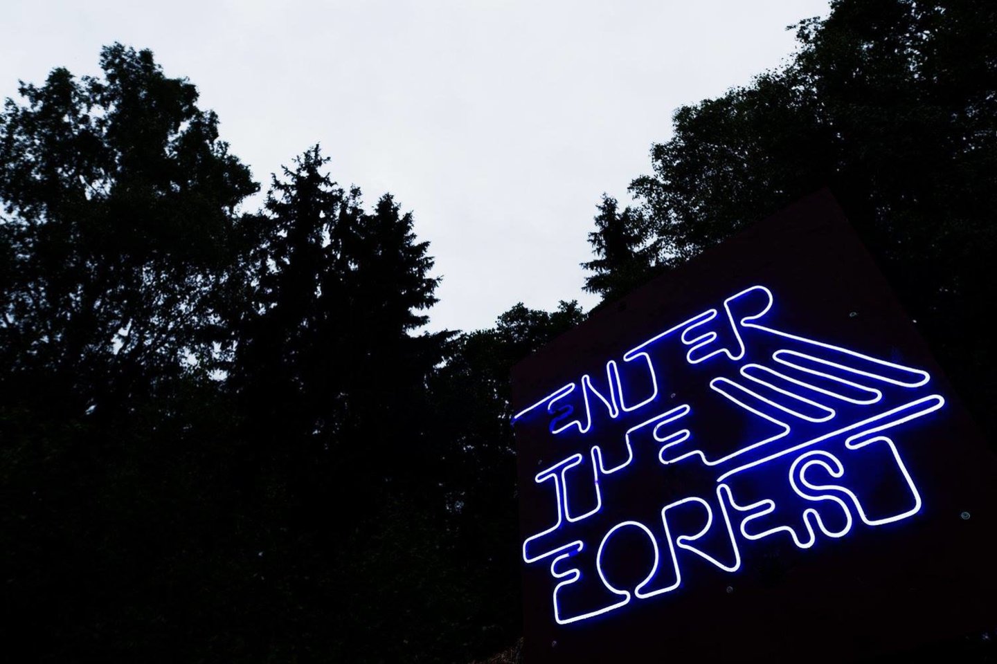 „Sūpynių“ akimirka.<br> Festivalio rengėjų nuotr.