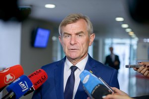 Stambulo konvencijos teikimą V. Pranckietis vadina „gražiu akcentu“, bet balso nežada