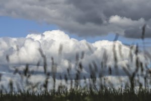 Po saulėtų orų praslinks liūtys