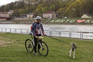 Kauniečiai sunerimę: kažkas bando nuodyti jų šunis