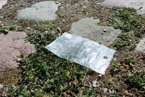 Naujausi duomenys – narkotikų prieinamumas Europoje didėja, auga kokaino vartojimas