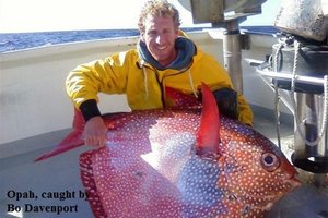 Trys naujai atrastos žuvų rūšys paneigia tai, ką išmokome mokykloje