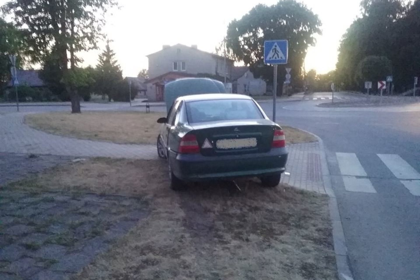 Žemaičio vairavimas šokiravo gyventojus, jie iškvietė policiją.