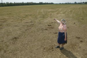 Stichinė sausra alina Lietuvą: malonės iš dangaus sulauks ne visi