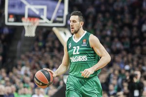 Aistros Vilniuje: už aikštės išbėgusį V. Micičių pastūmė sirgalius