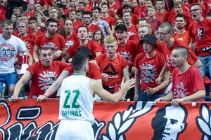 V. Micičių stumtelėjusiam sirgaliui – Lietuvos policijos žinutė