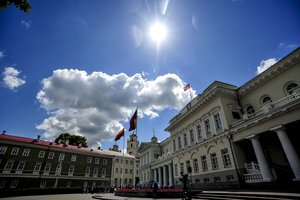 Prezidentės patarėjas: „Apie ką kalbėti pranešime, renkasi pati prezidentė“