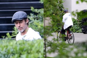 Problemų kamuojamas Bradas Pittas sulyso ir pražilo