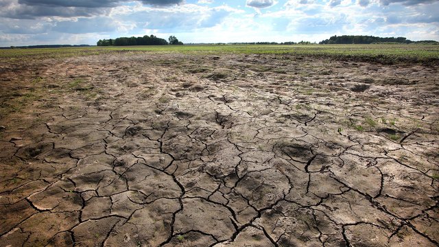 Lietuvą alina stichinė sausra: kokie bus padariniai?