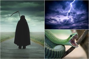 Mokslininkai nustatė, kokia mirtis yra pati nemaloniausia