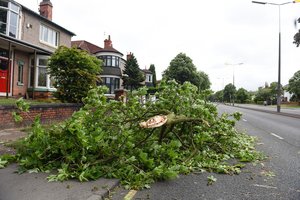 Rimstanti audra „Bud“ artėja link Kalifornijos pusiasalio pietinės dalies