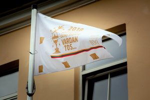 Vilniuje iškilmingai iškelta Dainų šventės vėliava